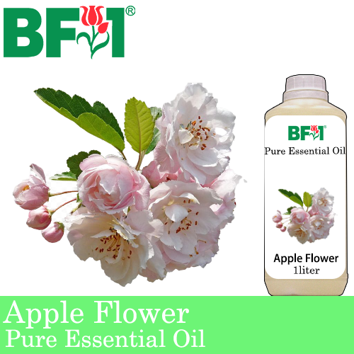 Pure Essential Oil (EO) - Apple Flower Essential Oil - 1L