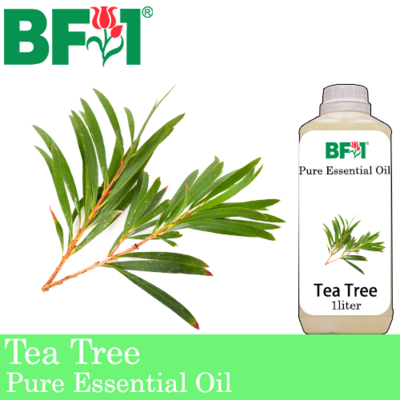 Pure Essential Oil (EO) - Tea Tree Essential Oil - 1L