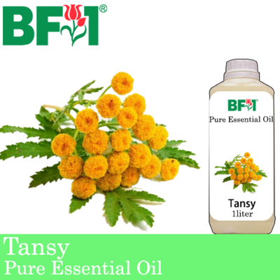 Pure Essential Oil (EO) - Tansy Essential Oil - 1L