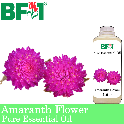 Pure Essential Oil (EO) - Amaranth Flower Essential Oil - 1L