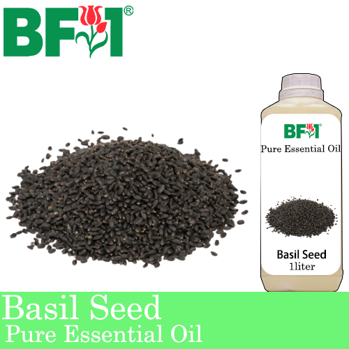 Pure Essential Oil (EO) - Basil Seed ( Ocimum Basilcum ) Essential Oil - 1L