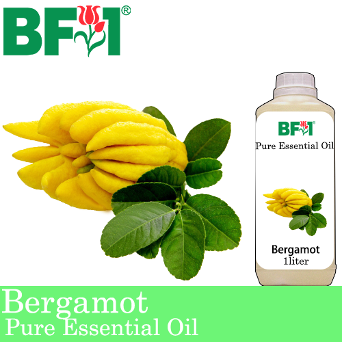 Pure Essential Oil (EO) - Bergamot Essential Oil - 1L
