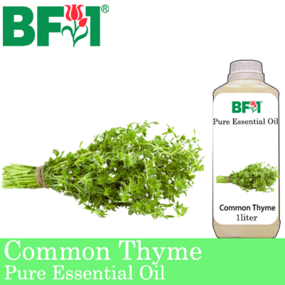 Pure Essential Oil (EO) - Thyme ( Common Thyme ) Essential Oil - 1L