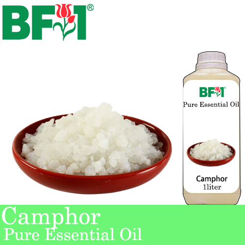 Pure Essential Oil (EO) - Camphor Essential Oil - 1L