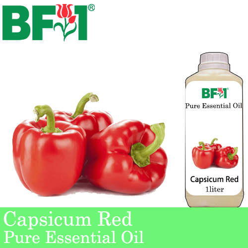 Pure Essential Oil (EO) - Capsicum Red Essential Oil - 1L
