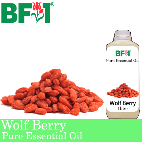 Pure Essential Oil (EO) - Wolf Berry Essential Oil - 1L