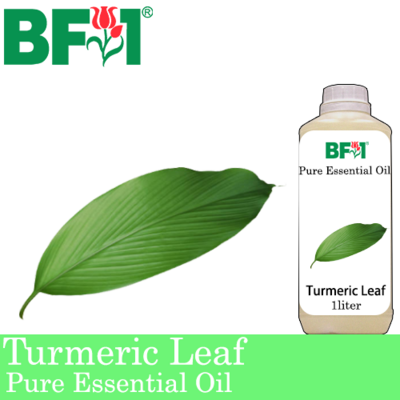 Pure Essential Oil (EO) - Turmeric Leaf Essential Oil - 1L
