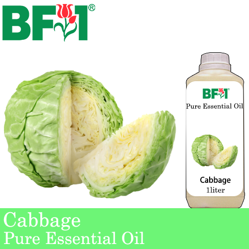 Pure Essential Oil (EO) - Cabbage Essential Oil - 1L