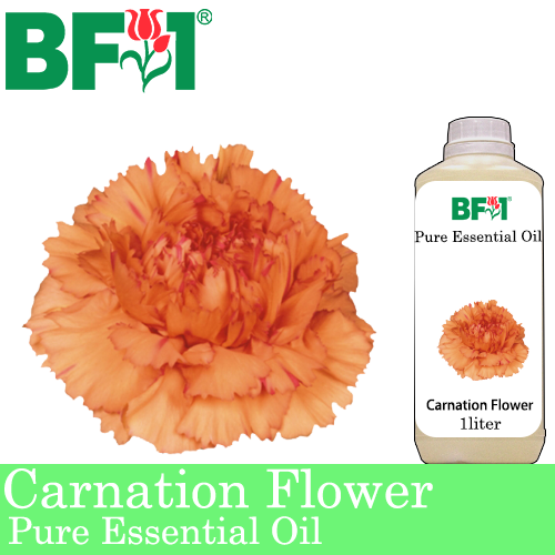 Pure Essential Oil (EO) - Carnation Flower Essential Oil - 1L