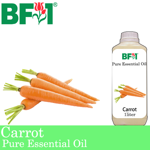 Pure Essential Oil (EO) - Carrot Essential Oil - 1L