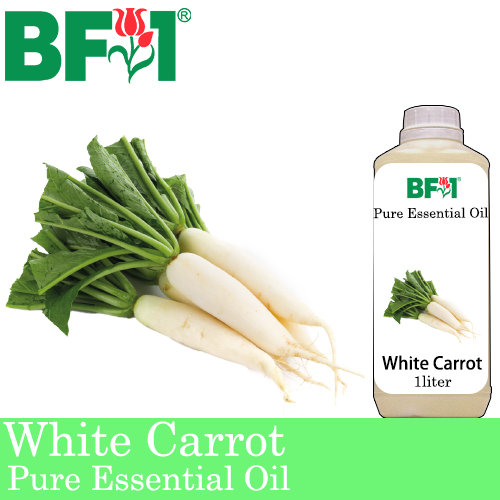 Pure Essential Oil (EO) - White Carrot Essential Oil - 1L