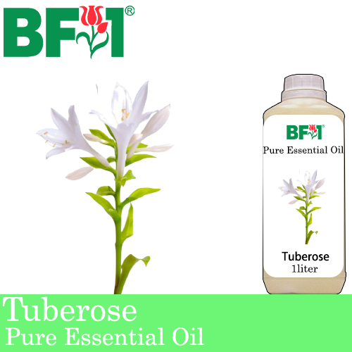 Pure Essential Oil (EO) - Tuberose Essential Oil - 1L