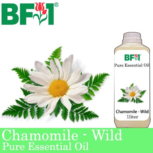 Pure Essential Oil (EO) - Chamomile - Wild Chamomile Essential Oil - 1L