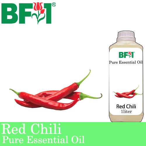 Pure Essential Oil (EO) - Chili - Red Chili Essential Oil - 1L