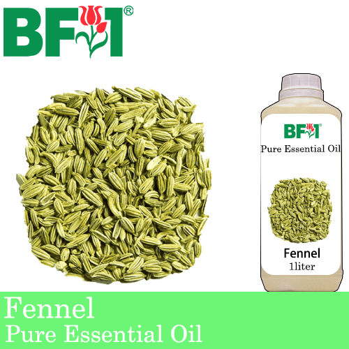 Pure Essential Oil (EO) - Fennel Essential Oil - 1L
