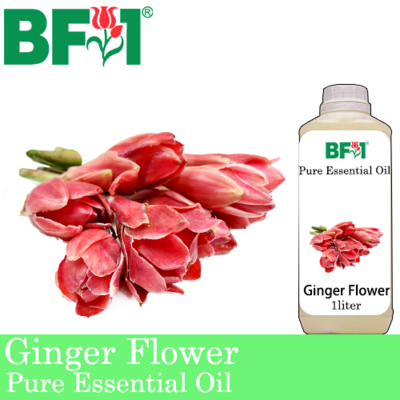Pure Essential Oil (EO) - Ginger Flower Essential Oil - 1L