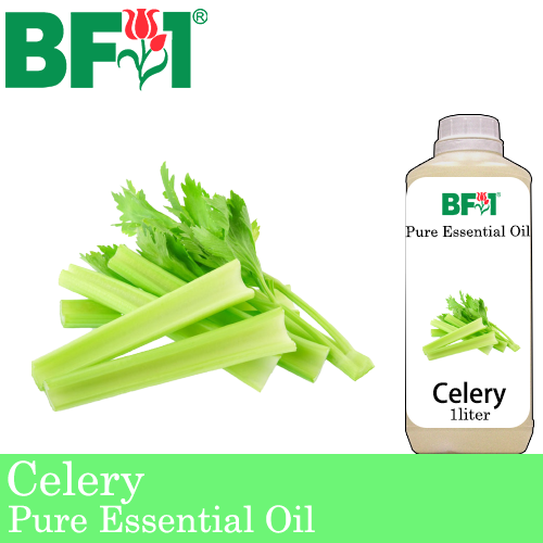Pure Essential Oil (EO) - Celery Essential Oil - 1L