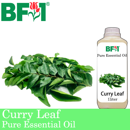 Pure Essential Oil (EO) - Curry Leaf Essential Oil - 1L