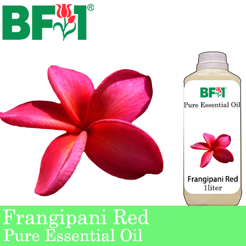 Pure Essential Oil (EO) - Frangipani Red Essential Oil - 1L