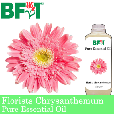 Pure Essential Oil (EO) - Chrysanthemum - Florists Chrysanthemum Essential Oil - 1L