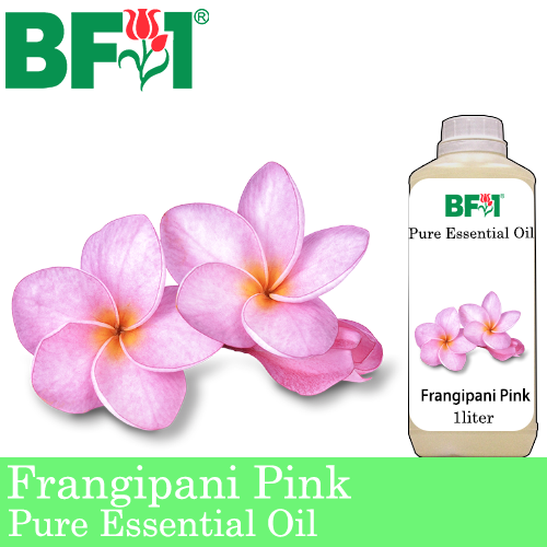 Pure Essential Oil (EO) - Frangipani Pink Essential Oil - 1L