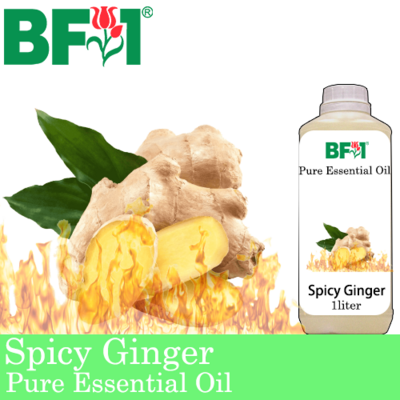 Pure Essential Oil (EO) - Ginger - Spicy Ginger Essential Oil - 1L