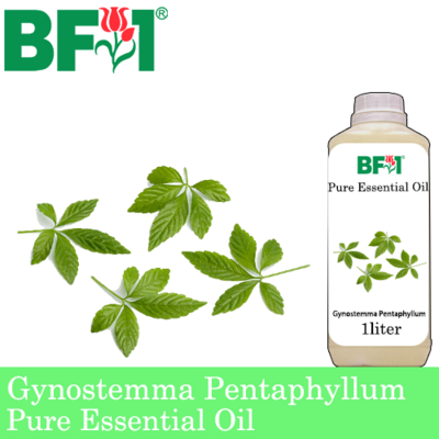 Pure Essential Oil (EO) - Gynostemma Pentaphyllum Essential Oil - 1L