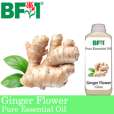 Pure Essential Oil (EO) - Ginger Essential Oil - 1L