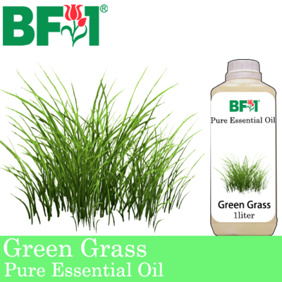 Pure Essential Oil (EO) - Green Grass Essential Oil - 1L