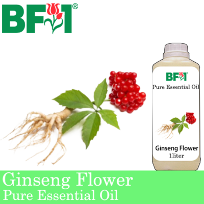 Pure Essential Oil (EO) - Ginseng Flower Essential Oil - 1L