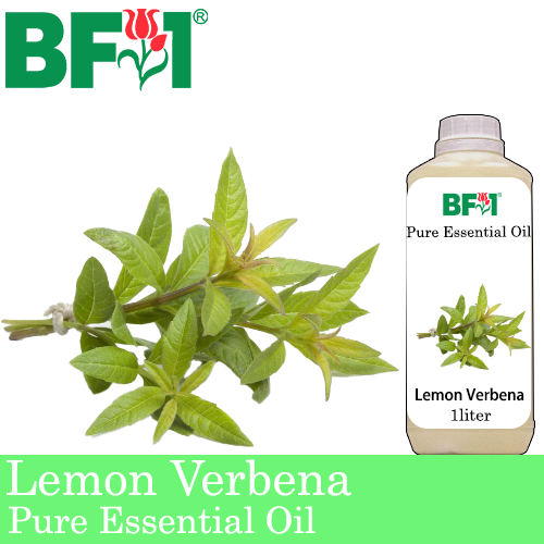 Pure Essential Oil (EO) - Lemon Verbena Essential Oil - 1L