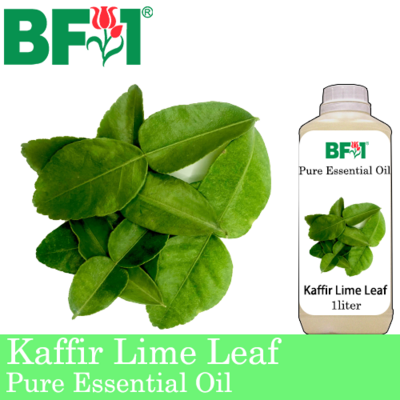 Pure Essential Oil (EO) - Lime - Kaffir Lime Leaf Essential Oil - 1L
