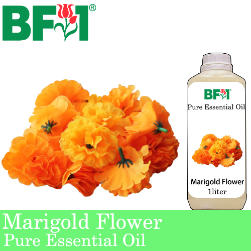 Pure Essential Oil (EO) - Marigold Flower Essential Oil - 1L