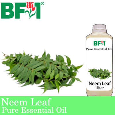 Pure Essential Oil (EO) - Neem Leaf Essential Oil - 1L