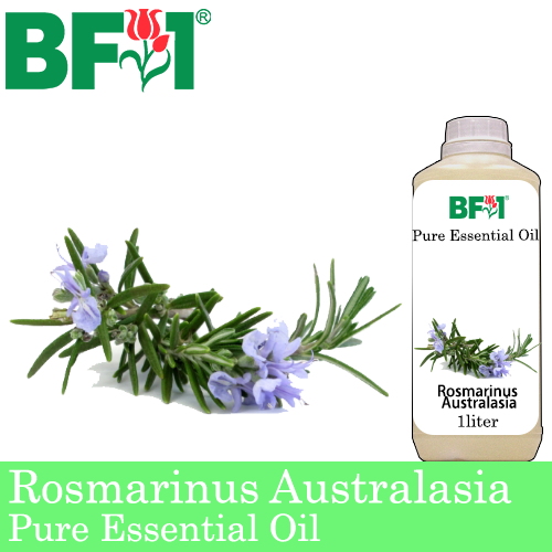 Pure Essential Oil (EO) - Rosmarinus Australasia Essential Oil - 1L