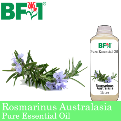 Pure Essential Oil (EO) - Rosmarinus Australasia Essential Oil - 1L