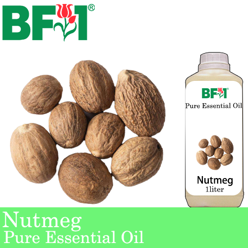 Pure Essential Oil (EO) - Nutmeg Essential Oil - 1L