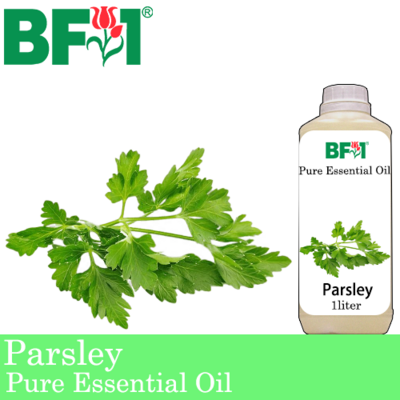 Pure Essential Oil (EO) - Parsley Essential Oil - 1L