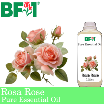 Pure Essential Oil (EO) - Rose - Rosa Rose Essential Oil - 1L