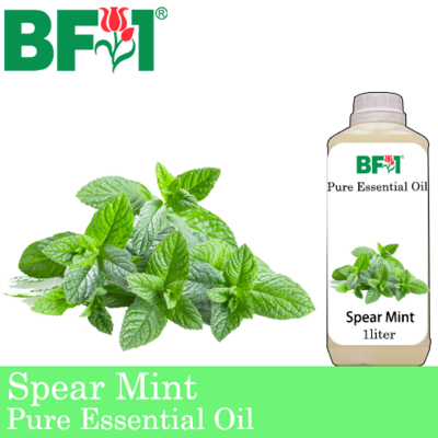 Pure Essential Oil (EO) - Mint - Spear Mint Essential Oil - 1L