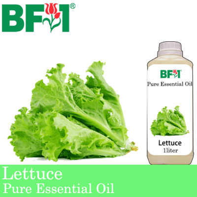 Pure Essential Oil (EO) - Lettuce Essential Oil - 1L