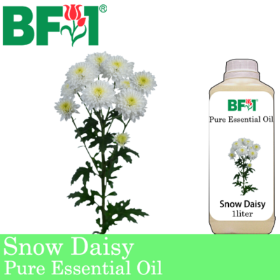 Pure Essential Oil (EO) - Snow Daisy Essential Oil - 1L