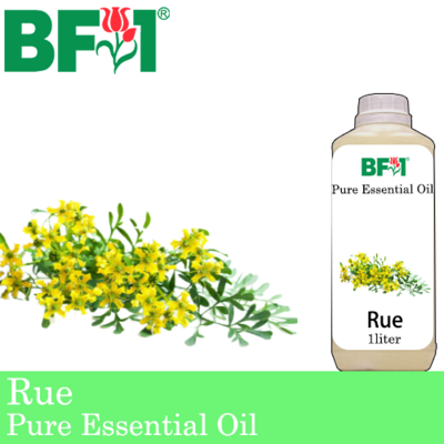 Pure Essential Oil (EO) - Rue ( Ruta Graveolens ) Essential Oil - 1L