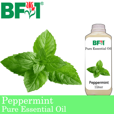 Pure Essential Oil (EO) - Mint - Peppermint ( Mentha Piperita ) Essential Oil - 1L