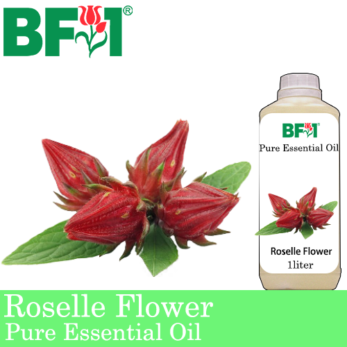 Pure Essential Oil (EO) - Roselle Flower Essential Oil - 1L