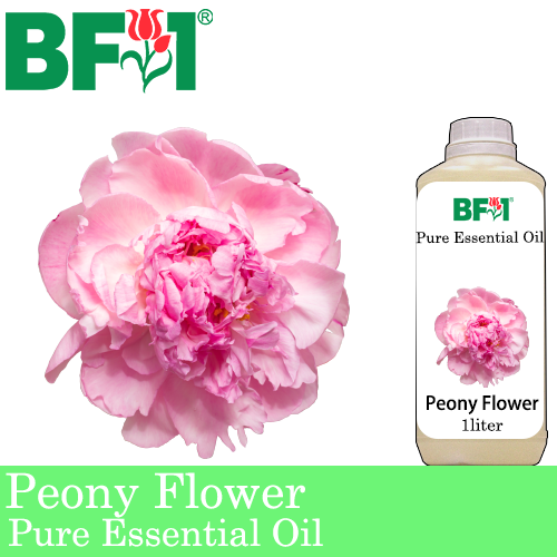 Pure Essential Oil (EO) - Peony Flower Essential Oil - 1L