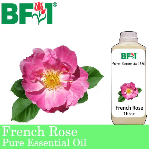 Pure Essential Oil (EO) - Rose - French Rose Essential Oil - 1L