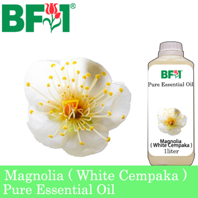 Pure Essential Oil (EO) - Magnolia ( White Cempaka ) Essential Oil - 1L