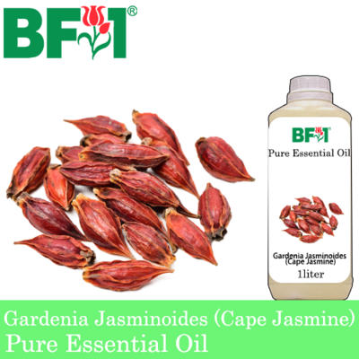 Pure Essential Oil (EO) - Gardenia Jasminoides (Cape Jasmine) Essential Oil - 1L
