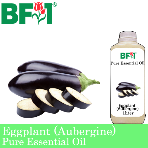 Pure Essential Oil (EO) - Eggplant (Aubergine) Essential Oil - 1L